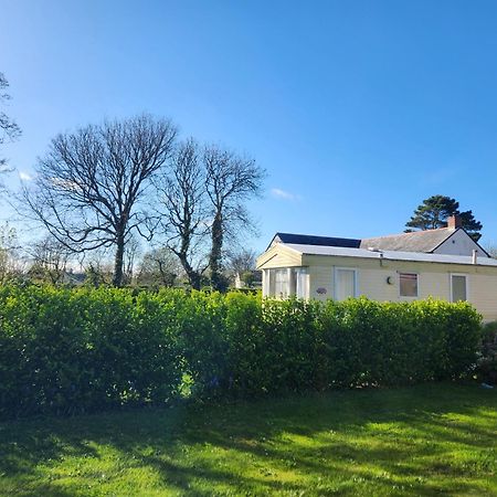 Rosebud Flower Farm Caravan Stay Countryside And Coast Penzance Buitenkant foto