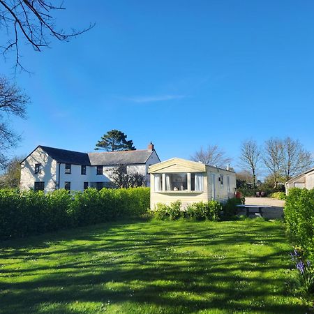 Rosebud Flower Farm Caravan Stay Countryside And Coast Penzance Buitenkant foto
