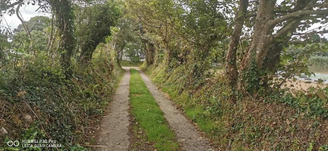 Rosebud Flower Farm Caravan Stay Countryside And Coast Penzance Buitenkant foto
