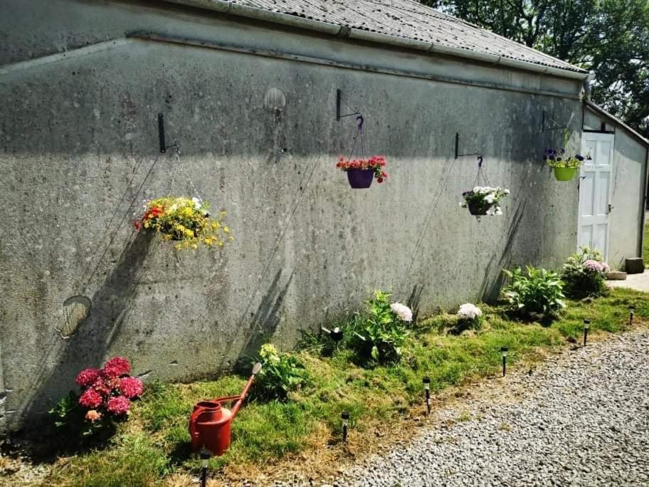 Rosebud Flower Farm Caravan Stay Countryside And Coast Penzance Buitenkant foto