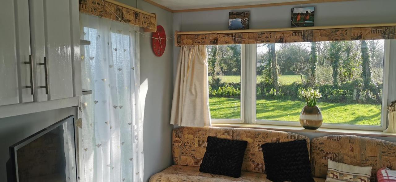 Rosebud Flower Farm Caravan Stay Countryside And Coast Penzance Buitenkant foto